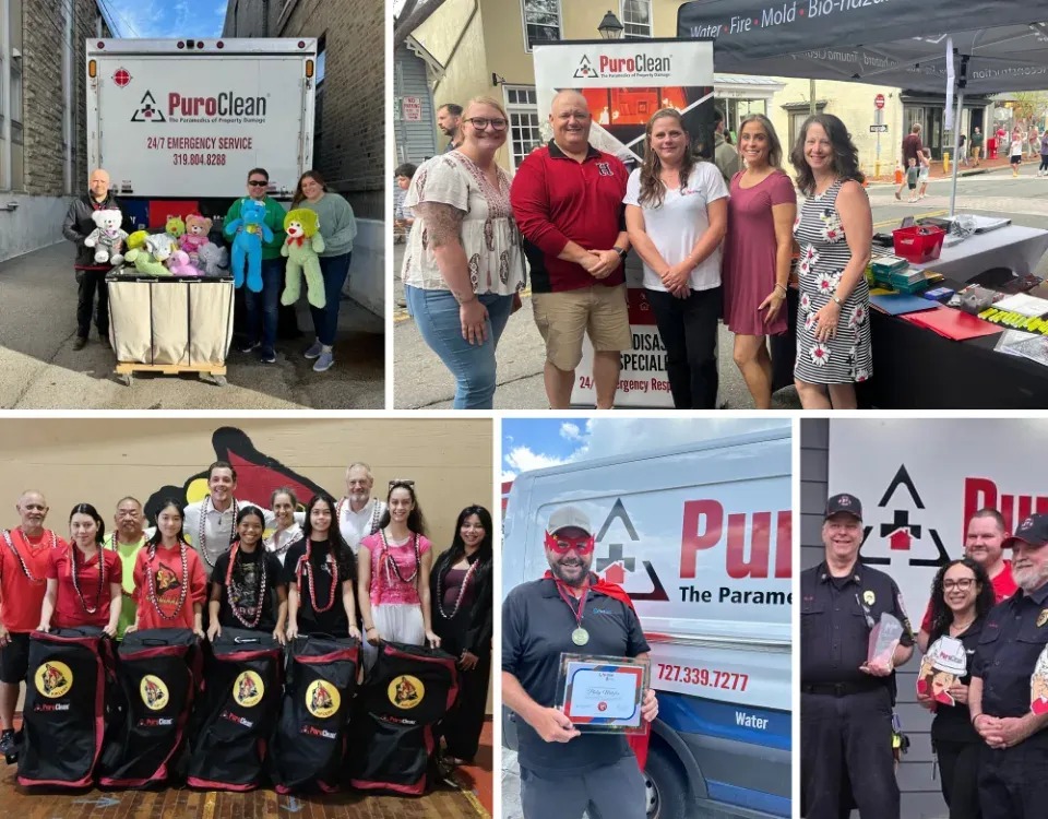 PuroClean Team